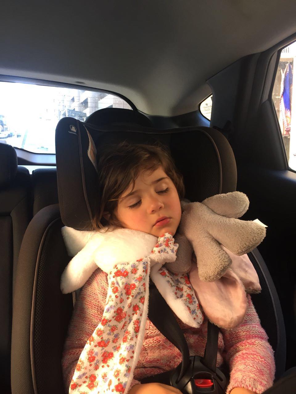Mica napping in the car with her bunny